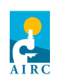 Airc Logo
